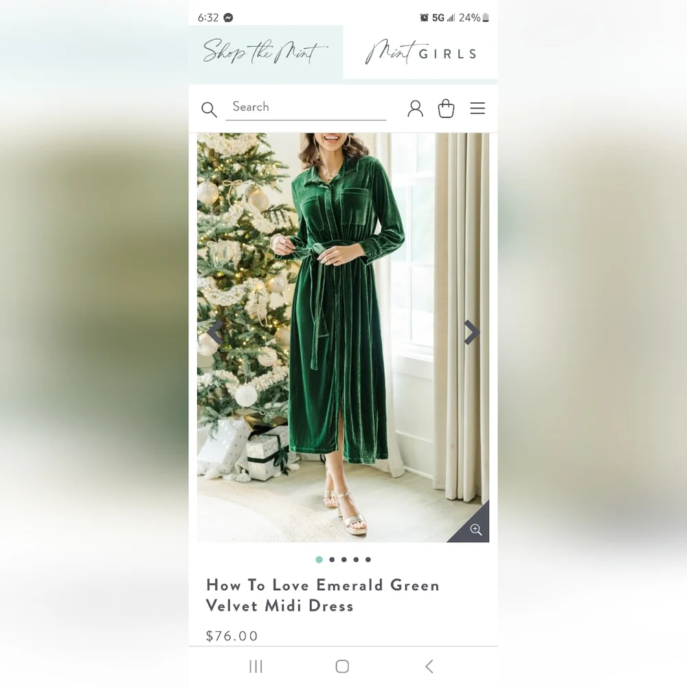 Mint Julep Velvet dress NWOT large - Picture 2 of 5